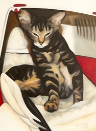 Alex Cat