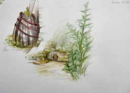All Images 18