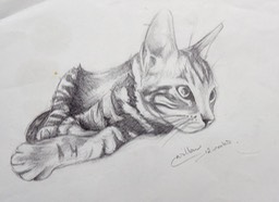 All Images 19