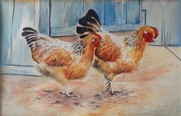 chickens