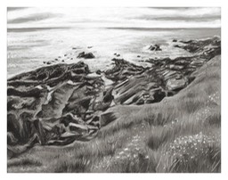 Cornish Coast - Low Resolution
